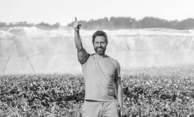 Tarım ve tarım. Sulama sisteminde tarımı sulayan bir adam. Kırsal kesimde bir çiftçi. Su püskürtme sulama tarlası. Damlatma sulama sistemi. Ekin sulama. İşaret parmağı.