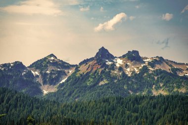 Dağlı orman doğası. Dağ kırsalında doğa. Dağ manzaralı bir yer. Manzara kozalaklı orman. Ormanlı çam ağacı dağı manzarası. Dağ manzarası. Seyahat hedefi.