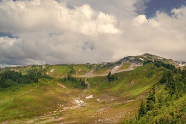 Çayırlı dağ manzarası. Bulutlu gökyüzü ile dağlık bir manzara. Yeşil Tepe Dağı manzaralı. Kozalaklı ormanlar ve yeşil yamaçlarla vahşi dağlarda resimli bir yaz günü..