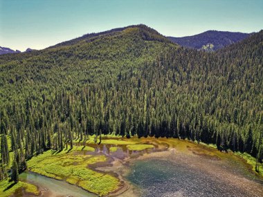 Cooper Gölü 'nün popüler doğa yürüyüşü. Cooper gölü ve dağ manzarası. Cooper Gölü 'nün dağ ve orman manzarası. Doğa manzarası. Washington 'daki Cooper Gölü. Ferahlatıcı esinti.