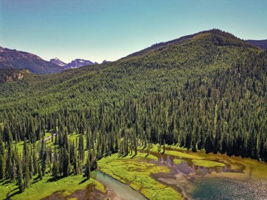 Cooper Gölü 'nün popüler doğa yürüyüşü. Cooper gölü ve dağ manzarası. Cooper Gölü 'nün dağ ve orman manzarası. Doğa manzarası. Washington 'daki Cooper Gölü. Ferahlatıcı esinti.