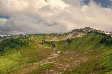 Çayırlı dağ manzarası. Bulutlu gökyüzü ile dağlık bir manzara. Yeşil Tepe Dağı manzaralı. Kozalaklı orman ve yeşil yamaçlı vahşi dağda yaz günü. Resimli manzara..