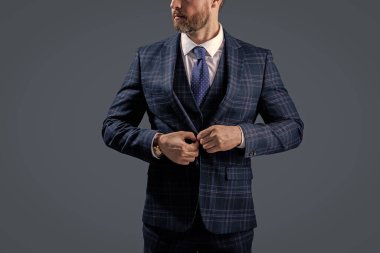 Zarif takım elbiseli bir iş adamı. Gri üzerine kravat takılmış resmi takım elbise ceketi. İş adamı ceketli adam. İş elbisesi. Resmi erkek giyimi. Formalite icabı giyinmiş bir adam. Kuyruklu Gardırop.