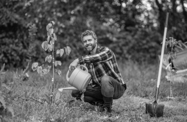 Bahçıvan ağacın üzerine su döküyor. Bahçecilik ve meyve bahçesi. Ağaç dikmek için tohumlama. Bahçıvan bahçıvanlık. Baharda bahçıvan. Bahçesinde sulama kutusu olan bir adam. Sulama ağacı. Ağaç dikiyorum..