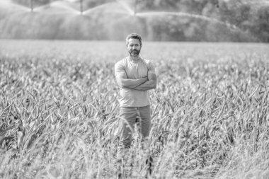 Kırsal kesimde bir çiftçi. Su püskürtme sulama tarlası. Damlatma sulama sistemi. Ekin sulama. Tarım ve tarım. Sulama sistemindeki adam tarımı suluyor, tarım işi yapıyor..