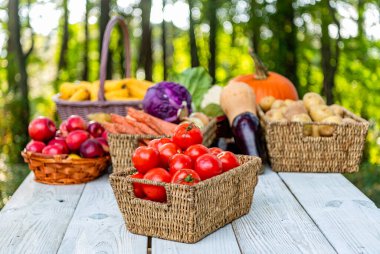 Bahçecilik ve hasat. Yaz ya da sonbahar çiftliği. Sebze hasadı. Domates, organik sağlıklı sebze. Bahçıvanlık tarım, fotokopi alanı. Organik domates yemeği. Sebze hasadı.