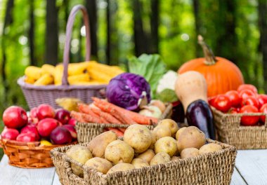 Ekin hasadı. Çiftlikte tarım ve hasat. Patates hasadı. Çiftlik hasadı, uzay afişini kopyala. Organik patates sebze hasadı. Sepette patates hasadı. Hasat edilmiş patates. Yiyecek pazarı.