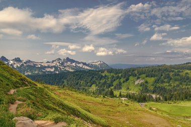Dağ yolu sahnesi. Yürüyüş yolu olan dağ manzarası. Alplerde dağ yolu. Resimli dağ manzarasında patika yürüyüş yolu. Orman, çayır ve turizm boyunca yürüyüş yapmak..