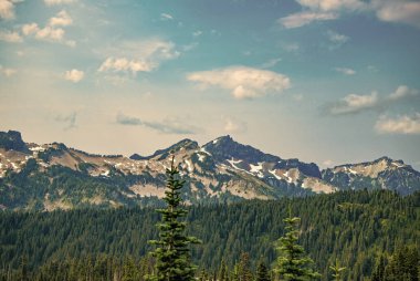 Dağ manzaralı bir yer. Manzara kozalaklı orman. Çam ağacı ve dağ orman manzarası. Dağ manzarası. Orman Doğa Dağı. Dağ kırsalında doğa. Nefes kesici vahşi doğa..
