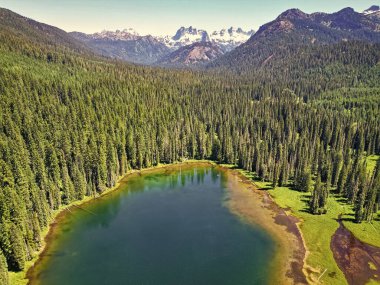Cooper Gölü 'nün dağ ve orman manzarası. Doğa manzarası. Washington 'daki Cooper Gölü. Cooper Gölü 'nün popüler doğa yürüyüşü. Cooper gölü ve dağ manzarası. Saf doğa..
