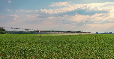 Hidrofonik sebze çiftliği. Tarım arazisindeki pivot sulama sistemi. Çiftçilik ve tarım. Ekin tarlası sulama. Tarım sulama sistemi ekin tarlalarını suluyor. Toprak hazırlığı.