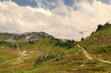 Çayırlı dağ manzarası. Bulutlu gökyüzü ile dağlık bir manzara. Yeşil Tepe Dağı manzaralı. Seyahat güzergahı. Kozalaklı orman ve yeşil yamaçlarla vahşi dağlarda nefes kesici bir yaz günü..