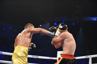 Kiev kısa sporda sıralama boks mücadele