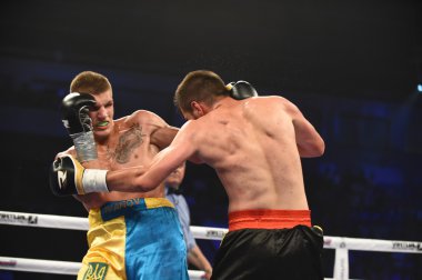 Kiev kısa sporda sıralama boks mücadele