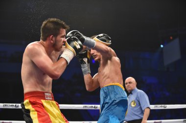 Kiev kısa sporda sıralama boks mücadele