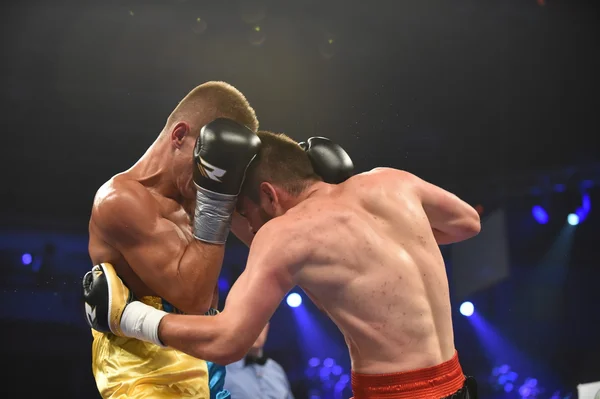 Žebříček boxerský zápas v Palaceof sportu v Kyjevě — Stock fotografie