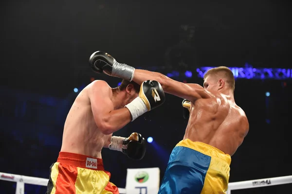 Ranking boxing fight in the Palaceof Sport in Kiev — Stock Photo, Image