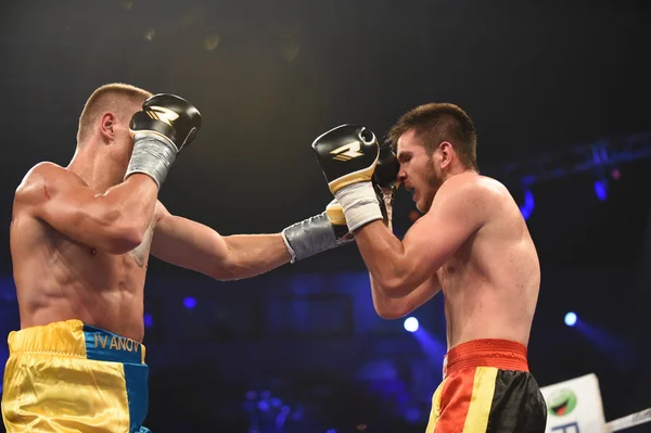 Ranking boxing fight in the Palaceof Sport in Kiev — Stock Photo, Image
