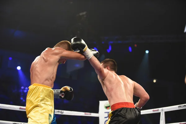 Rankning boxning kamp i den Palaceof sporten i Kiev — Stockfoto