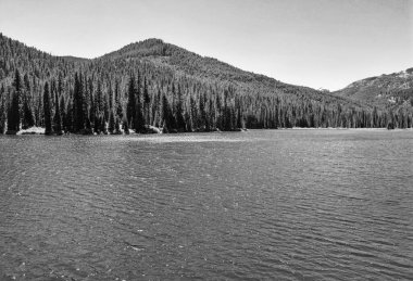 Cooper gölü ve dağ manzarası. Cooper Gölü 'nün dağ ve orman manzarası. Doğa manzarası. Washington 'daki Cooper Gölü. Cooper Gölü 'nün popüler doğa yürüyüşü.