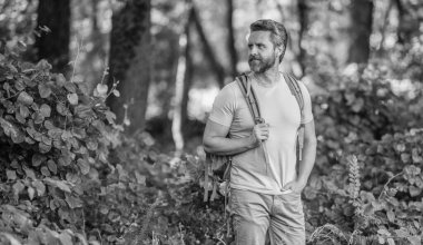 Ormandaki İspanyol adam. Ormanda yürüyüş yapan sırt çantalı bir yürüyüşçü. Erkek yürüyüşçü ormanda yürüyor. Sırt çantalı bir gezgin. Yürüyüş macerası. Seyahat yaşam tarzı. Kırsalda yürüyüş yapan bir adam. Boşluğu kopyala.