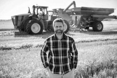 Ekin hasadı. Çiftçi buğdayı kontrol ediyor. Hasat zamanı tarım buğdayı. Kırsal kesim. Tarlada hasat yapan çiftçi adam. Olgun tarım. Sahadaki hasatçıyı. Çiftçi tarım uzmanı. Çiftlik işçisi.