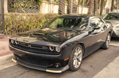 Miami, Florida, ABD - 20 Aralık 2024 Dodge Challenger GT arabası. Dodge Challenger GT tipi lüks bir araba. Dodge Challenger 'ın arabası dışarıda park edilmiş. Dodge Challenger, alçak görüş.