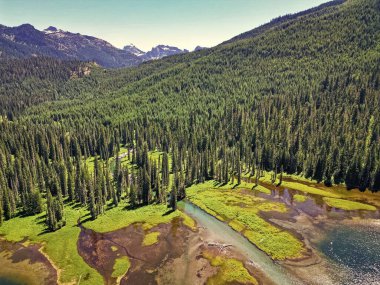 Doğa manzarası. Washington 'daki Cooper Gölü. Cooper Gölü 'nün popüler doğa yürüyüşü. Cooper gölü ve dağ manzarası. Cooper Gölü 'nün dağ ve orman manzarası. Nefes kesici manzara..