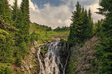 Myrtle şelale rotasını takip ediyor. Rainier Dağı ulusal park dağ doğa manzarası. Şelale manzarası. Doğa seyahati. Şelale seyahati.