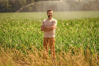 Su püskürtme sulama tarlası. Damlatma sulama sistemi. Ekin sulama. Tarım ve tarım. Sulama sisteminde tarımı sulayan bir adam. Çiftçi adam. Hidrofonik sebze çiftliği.