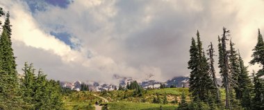 Dağ ormanlarının doğası. Dağdaki yeşil orman manzarası. Hava bulutlu. Karışık ormanın doğası. Manzaranın doğası. Ormanın manzaralı manzarası. Ormanlı tepe manzarası.