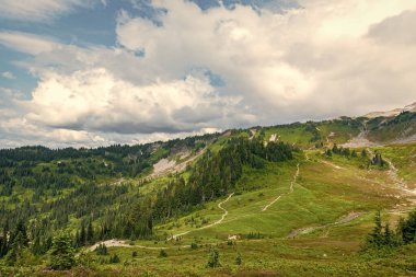Çayırlı dağ manzarası. Bulutlu gökyüzü ile dağlık bir manzara. Yeşil Tepe Dağı manzaralı. Seyahat güzergahı. Kozalaklı orman ve yeşil yamaçlarla vahşi dağlarda nefes kesici bir yaz günü..