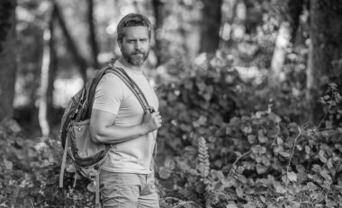 Ormanda yürüyüş yapan sırt çantalı bir yürüyüşçü. Erkek yürüyüşçü ormanda yürüyor. Sırt çantalı bir gezgin. Yürüyüş macerası. Hayat tarzı afişi taşıyordu. Kırsalda yürüyüş yapan bir adam. Ormandaki İspanyol adam..