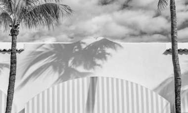 Kubbeli bir mağaza girişi. Mimari detay. Ayrıntılı mimari. Modern tepe örtüsü ve palmiye ağacı. Dış mimari inşaatı. Mimari tepe örtüsü sarı renk.