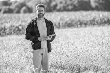 Tarımcı çiftçi adam. Ürün koruması. Tarım çiftliği. Buğday tarlasında çiftçi. Hasat ve çiftçilik. Tarlada çiftçi. İspanyol çiftçi tarla hasadını kontrol ediyor. Bereketli ürün büyümesi.