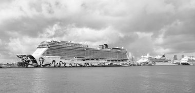 Miami, Florida, ABD - 03 Kasım 2024 Yaz Tatili Seyahati. Norveçli gemi şirketi. Gemi turu ve deniz seyahati. NCLH gemisi. Norveççe Tekrar Yolcu Gemisi Yolculuğu.