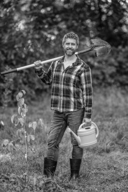 Bahar çiftliğindeki çiftçi. İnsan kürekle ağaç diker. Bahçe aleti. Bitki ekme ve yetiştirme. Bahar çiftçiliği. Ağaç dikiyorum. Bahçıvanlık ve tarım. Kürekli İspanyol bir çiftçi. Doğa konsepti.