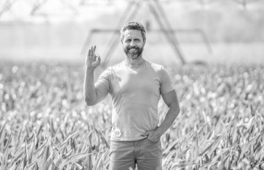 Ekin sulama. Tarım ve tarım. Sulama sisteminde tarımı sulayan bir adam. Kırsal kesimde bir çiftçi. Su püskürtme sulama tarlası. Damlatma sulama sistemi. Tamam..