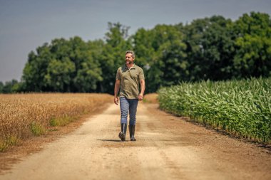 Hasat zamanı tarım buğdayı. Kırsal kesim. Tarlada hasat yapan çiftçi adam. Olgun tarım. Sahadaki hasatçıyı. Çiftçi tarım uzmanı. Ekin hasadı. Çiftçi buğdayların arasında yürüyor.