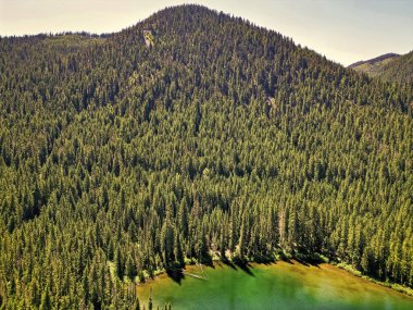 Cooper gölü ve dağ manzarası. Cooper Gölü 'nün dağ ve orman manzarası. Doğa manzarası. Washington 'daki Cooper Gölü. Cooper Gölü 'nün popüler doğa yürüyüşü.