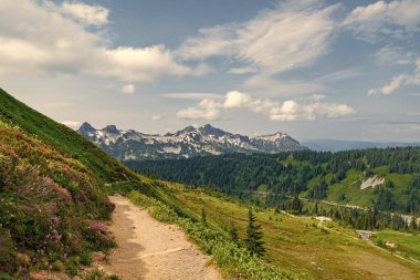 Alplerde dağ yolu. Resimli dağ manzarasında patika yürüyüş yolu. Orman ve çayır boyunca yürüyüş yolu. Dağ yolu sahnesi. Yürüyüş yolu olan dağ manzarası. Seyahat.