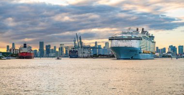 Miami, Florida, ABD - 23 Aralık 2024: Seas yolcu gemisi seferi senfonisi. Yaz tatilinde gemi turu. Royal Karayipler Uluslararası yolcu gemisi. Gemi turu. Lüks gemi gezisi..