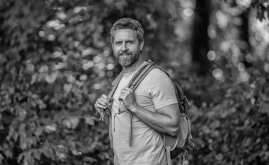 Sırt çantalı bir gezgin. Yürüyüş macerası. Seyahat yaşam tarzı. Kırsalda yürüyüş yapan bir adam. İspanyol adam ormanı. Ormanda yürüyüş yapan sırt çantalı bir yürüyüşçü. Erkek yürüyüşçü ormanda yürüyor. Sırt çantası.