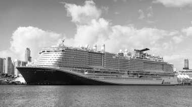 Miami, Florida, ABD - 3 Kasım 2024: Karnaval yolcu gemisi yolculuğu. Yaz tatilinde gemi turu. Karnaval Gemi Hattı. Gemi turu ve deniz seyahati. Gemi Miami sahil limanından ayrılıyor..