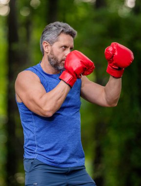 Ormanda sporcu eğitimi. Spor giyim sektöründe güçlü bir boksör. Egzersiz ve yumruk. Boks antrenmanı. Boks eldivenli bir sporcu. Olgun boksör. Sporcu boks. Güçlü bir sporcu..