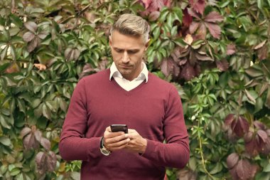 Sonbahar parkında telefonda konuşan bir iş adamı. İletişim tarzı. Yakışıklı iş adamı sonbahar yapraklarında telefon kullanır. Dışarıdaki iş adamı. Telefonlu bir adam. İş sohbeti. Akıllı telefon kontrol ediliyor.