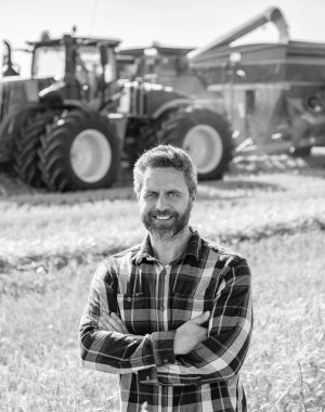 Hasat zamanı tarım buğdayı. Kırsal kesim. Agronomist olgun bir adam mahsul tarlasında hasat yapıyor. Olgun tarım. Sahadaki hasatçıyı. Çiftçi tarım uzmanı. Ekin hasadı. Çiftçi buğdayı kontrol et.