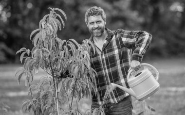 Ağaç dikmek için tohumlama. Bahçıvan bahçıvanlık. Baharda bahçıvan. Bahçesinde sulama kutusu olan bir adam. Şeftali ağacı suluyorum. Ağaç dikiyorum. Bahçecilik ve meyve bahçesi. Çiftçilik ve bahçıvanlık.