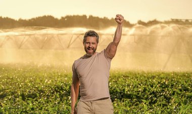 Damlatma sulama sistemi. Ekin sulama. Tarım ve tarım. Sulama sisteminde tarımı sulayan bir adam. Kırsal kesimde bir çiftçi. Su püskürtme sulama tarlası. İşçi Bayramı.