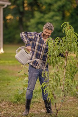 Bahçecilik ve meyve bahçesi. Ağaç dikmek için tohumlama. Bahçıvan bahçıvanlık. Baharda bahçıvan. Bahçesinde sulama kutusu olan bir adam. Şeftali ağacı suluyorum. Ağaç dikiyorum. Kırsal biçim.